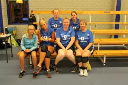 Stratenvolleybal 2014